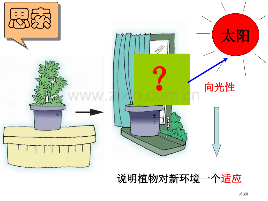 生物的适应性和多样性省公共课一等奖全国赛课获奖课件.pptx_第3页