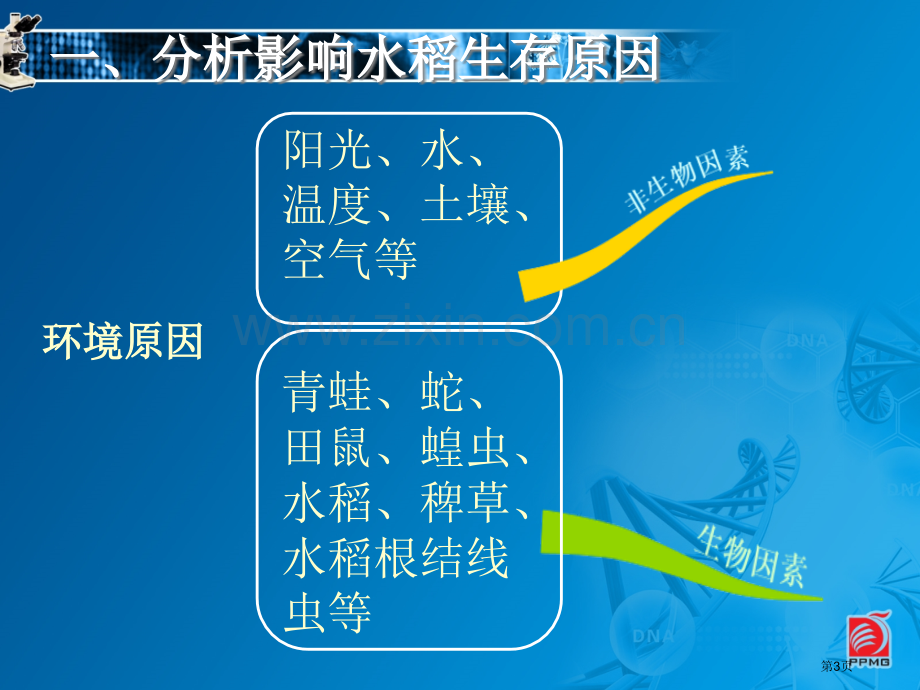 环境影响生物的生存教学省公共课一等奖全国赛课获奖课件.pptx_第3页