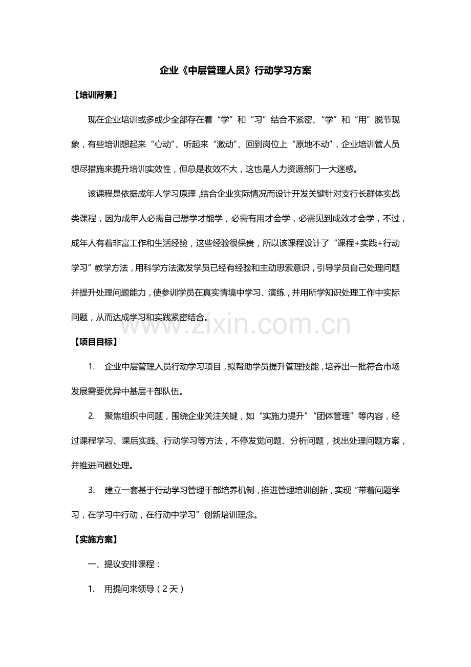 行动学习优质项目专业方案.docx_第1页