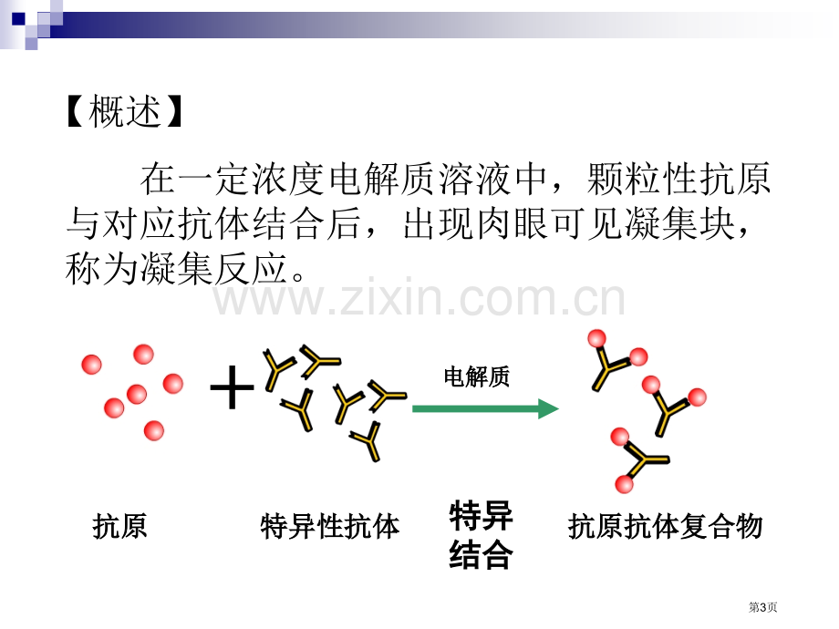 生物技术实验凝集反应市公开课一等奖百校联赛特等奖课件.pptx_第3页