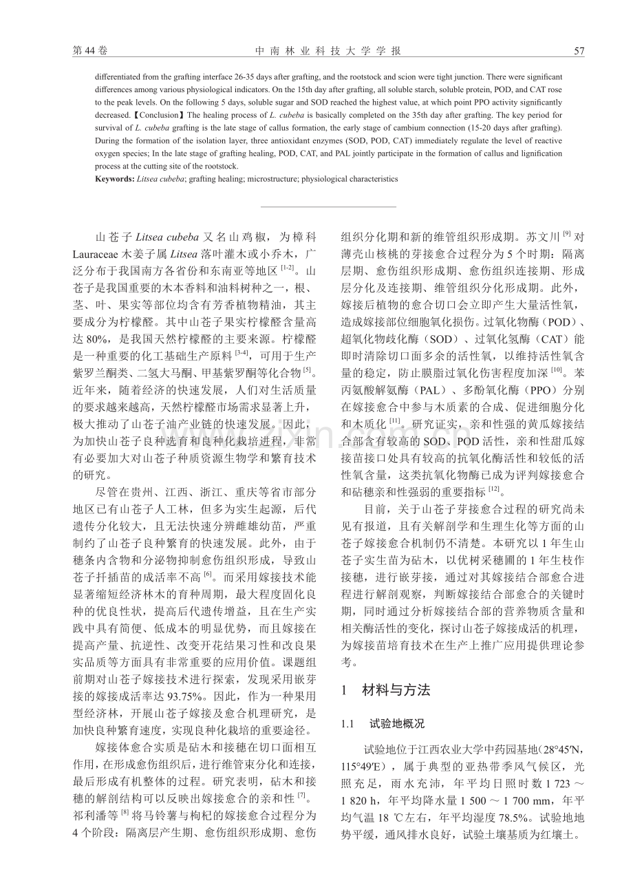 山苍子嫁接愈合过程的组织解剖和生理特性.pdf_第2页