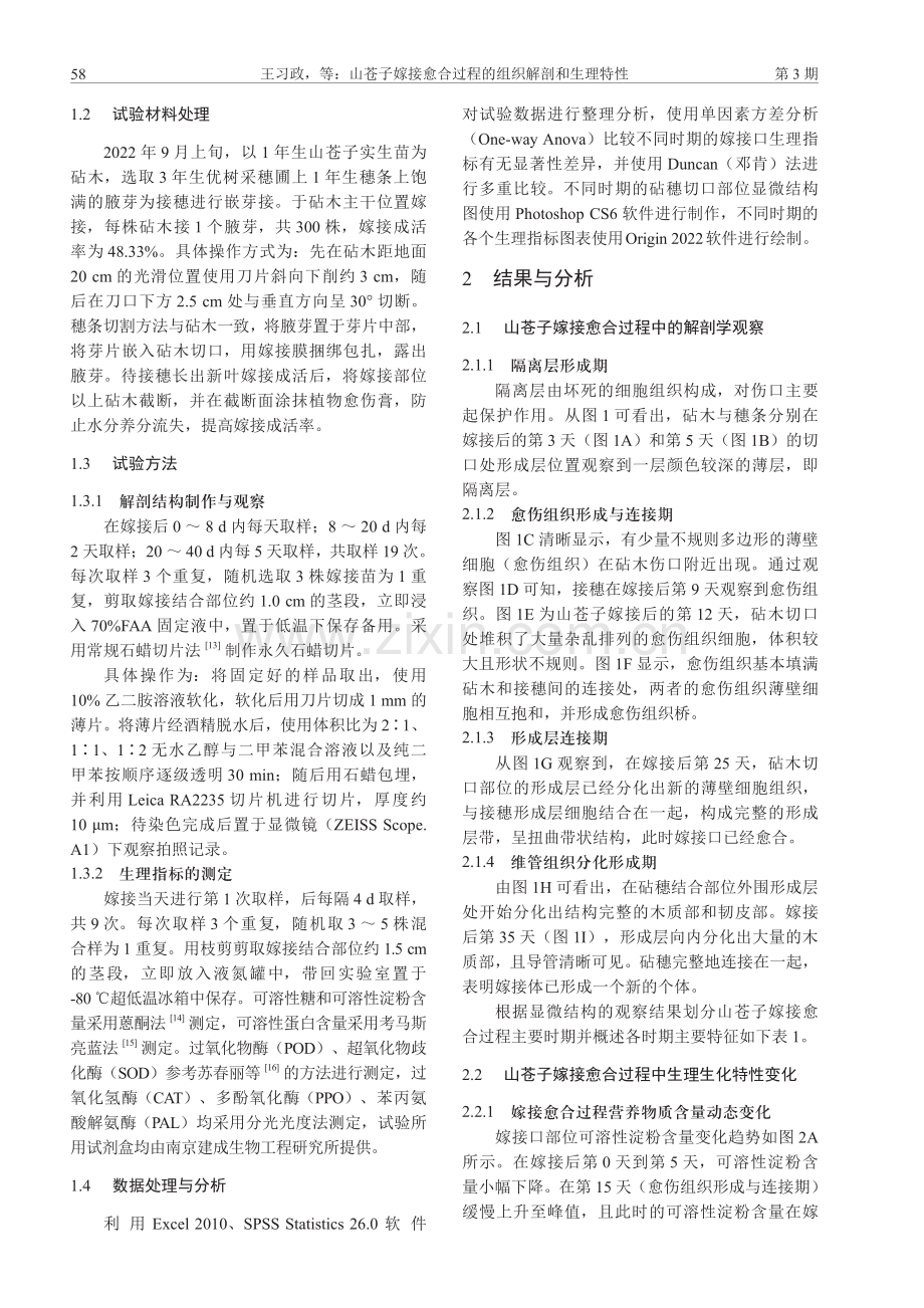 山苍子嫁接愈合过程的组织解剖和生理特性.pdf_第3页