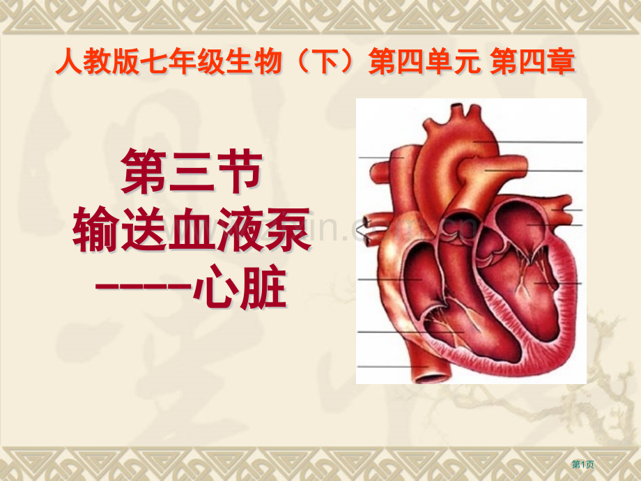 七年级生物下册输送血液的泵心脏省公共课一等奖全国赛课获奖课件.pptx_第1页