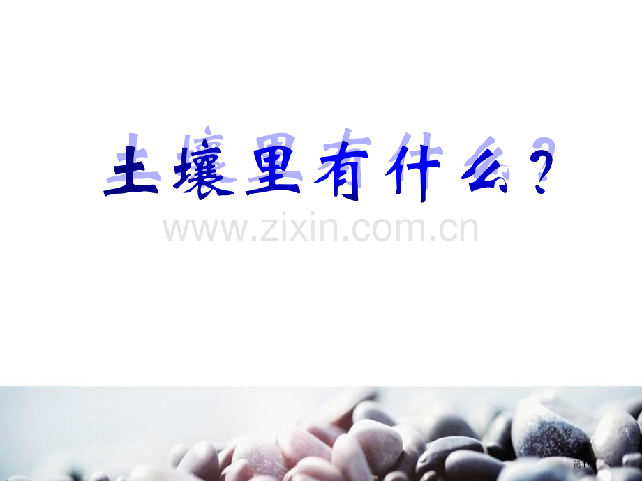 土壤里有什么课件省公开课一等奖新名师优质课比赛一等奖课件.pptx_第1页