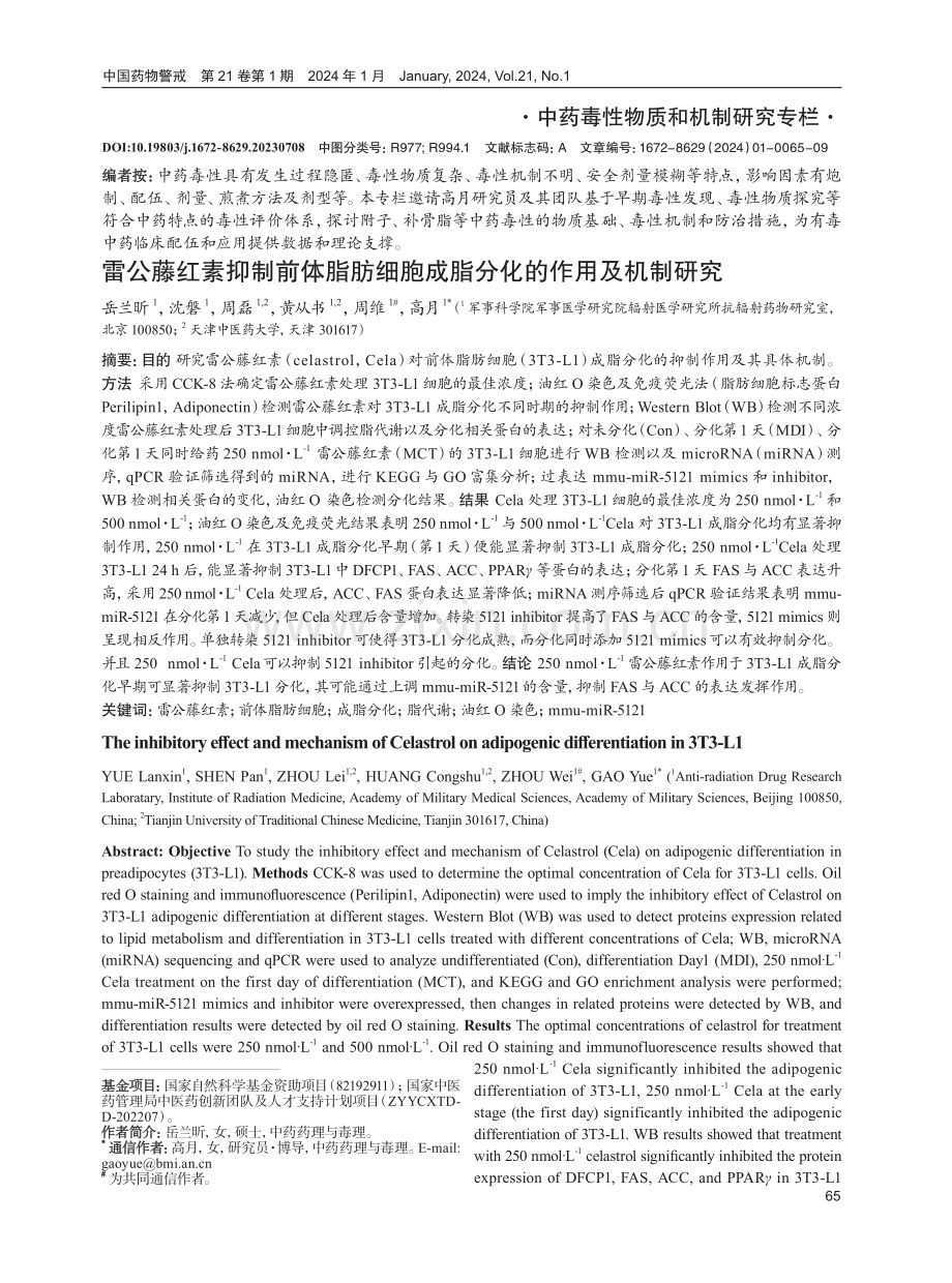 雷公藤红素抑制前体脂肪细胞成脂分化的作用及机制研究.pdf_第1页