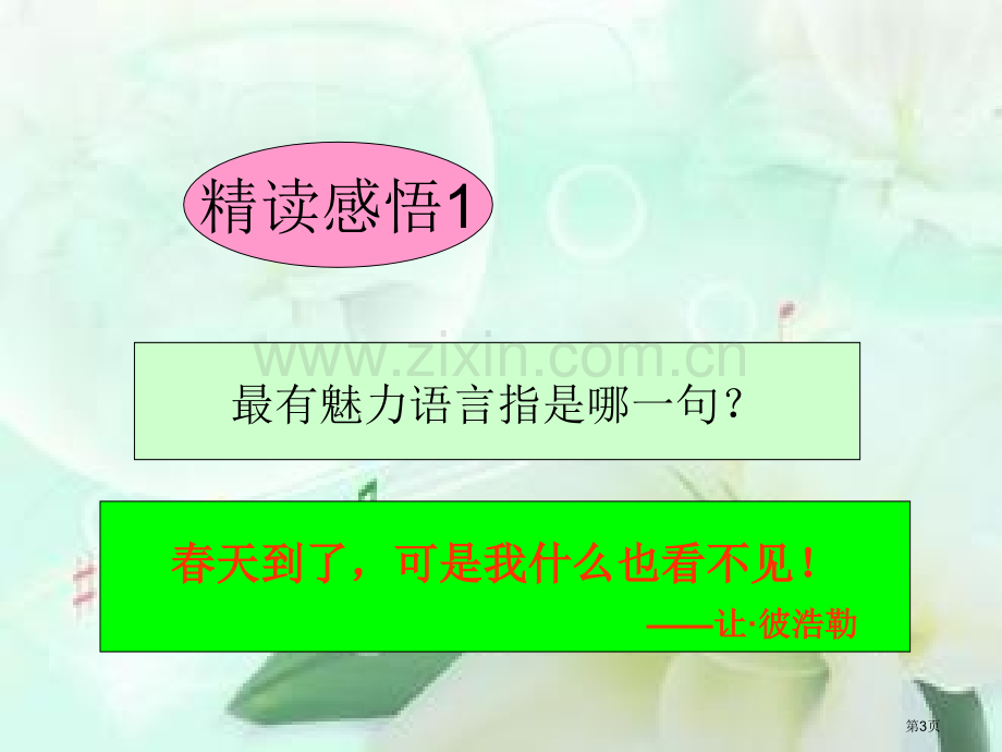 语言的魅力教案省公共课一等奖全国赛课获奖课件.pptx_第3页