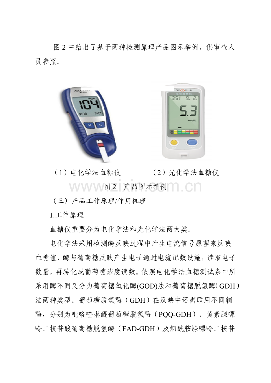 血糖仪注册关键技术审查指导原则.doc_第3页