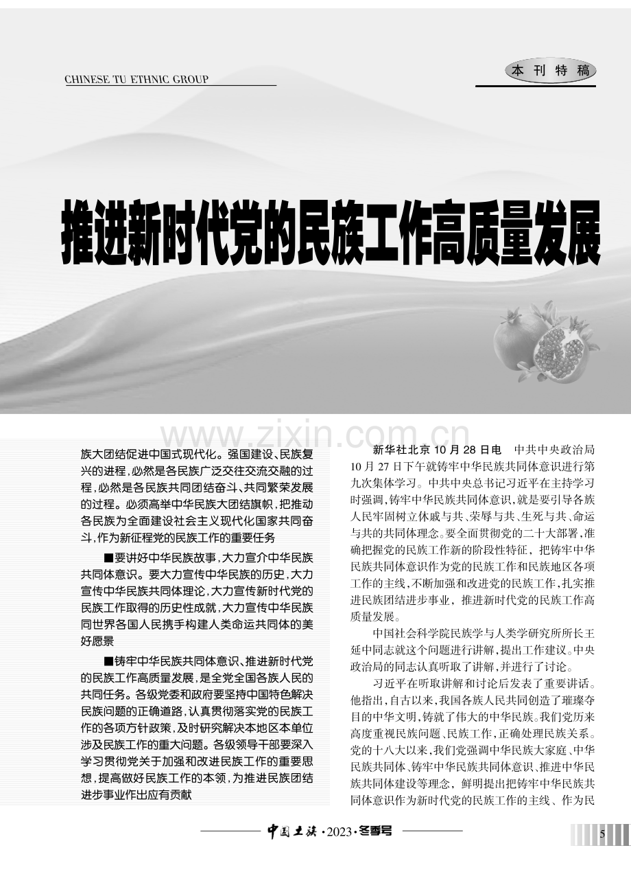 习近平在中共中央政治局第九次集体学习时强调：铸牢中华民族共同体意识.pdf_第2页