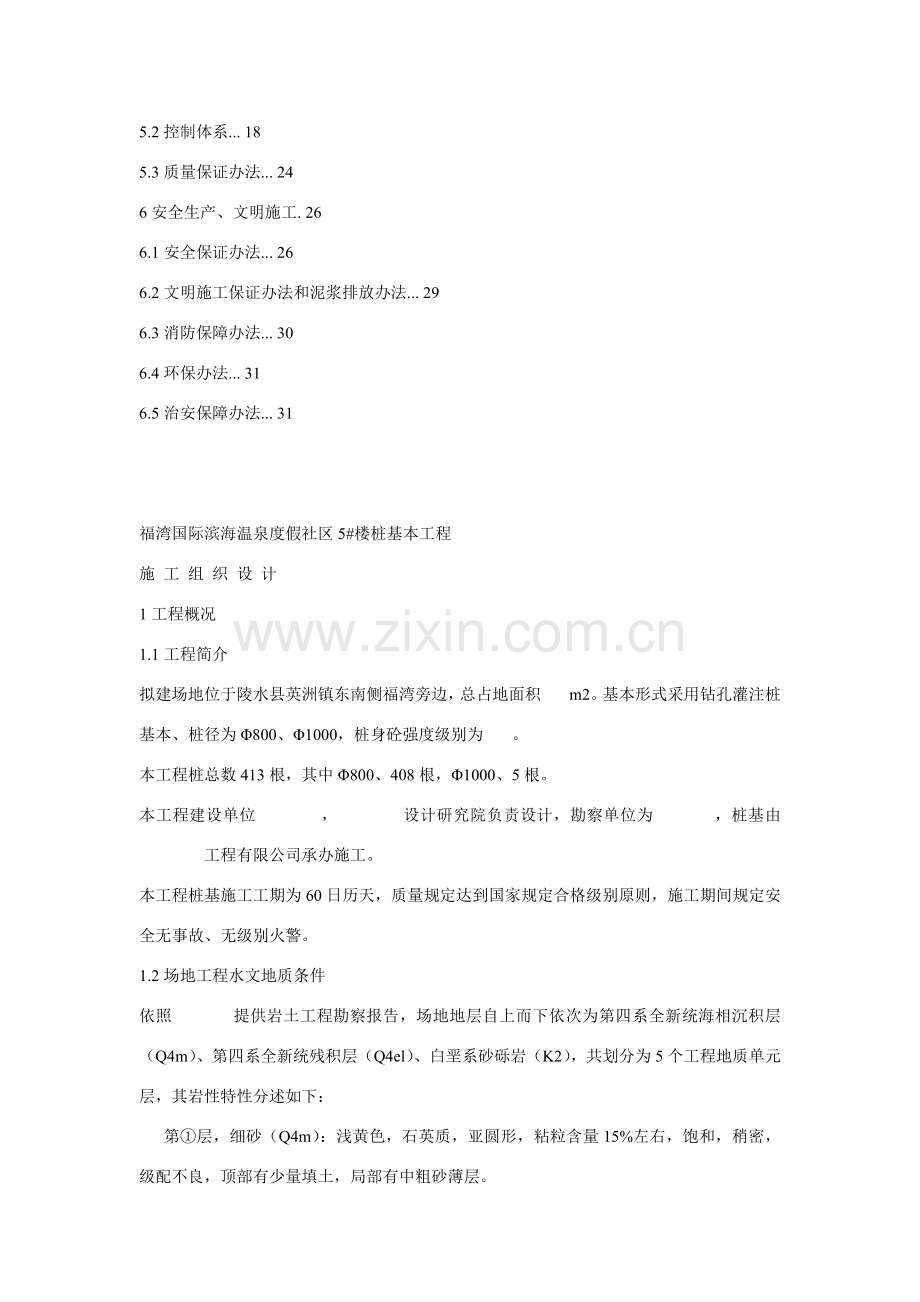 桩基综合项目工程综合项目施工组织设计.doc_第2页