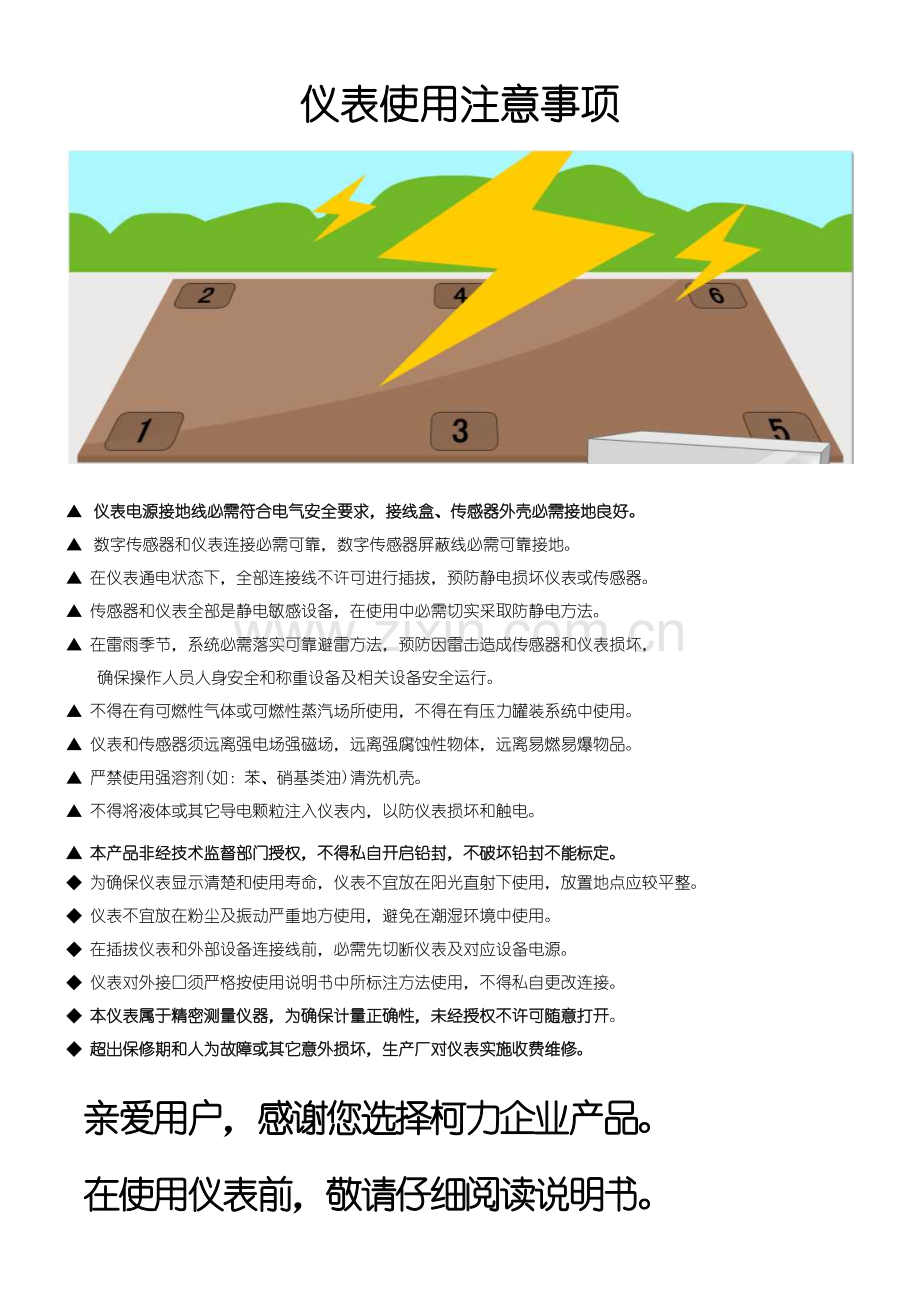 D型电子称重仪表调试说明指导书.doc_第2页