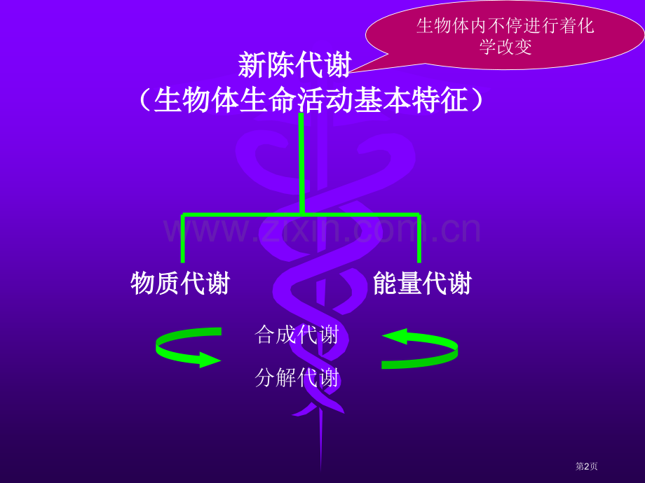 运动生物化学省公共课一等奖全国赛课获奖课件.pptx_第2页