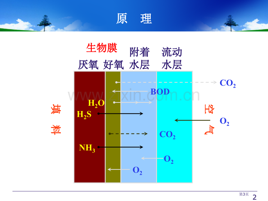 生物接触氧化法原理与设计市公开课一等奖百校联赛特等奖课件.pptx_第3页