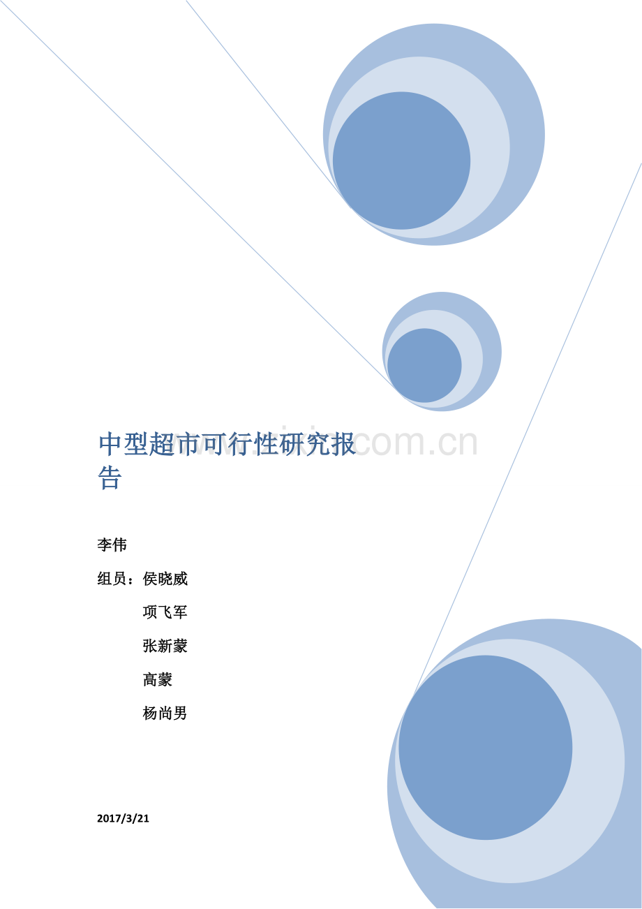 中型超市可行性研究应用报告.docx_第1页