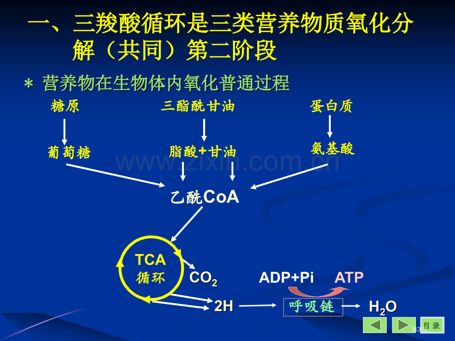 生物化学与分子生物学八市公开课一等奖百校联赛特等奖课件.pptx_第3页