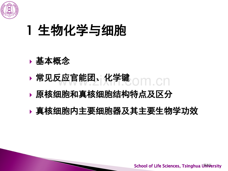 生物化学原理知识点总结省公共课一等奖全国赛课获奖课件.pptx_第2页