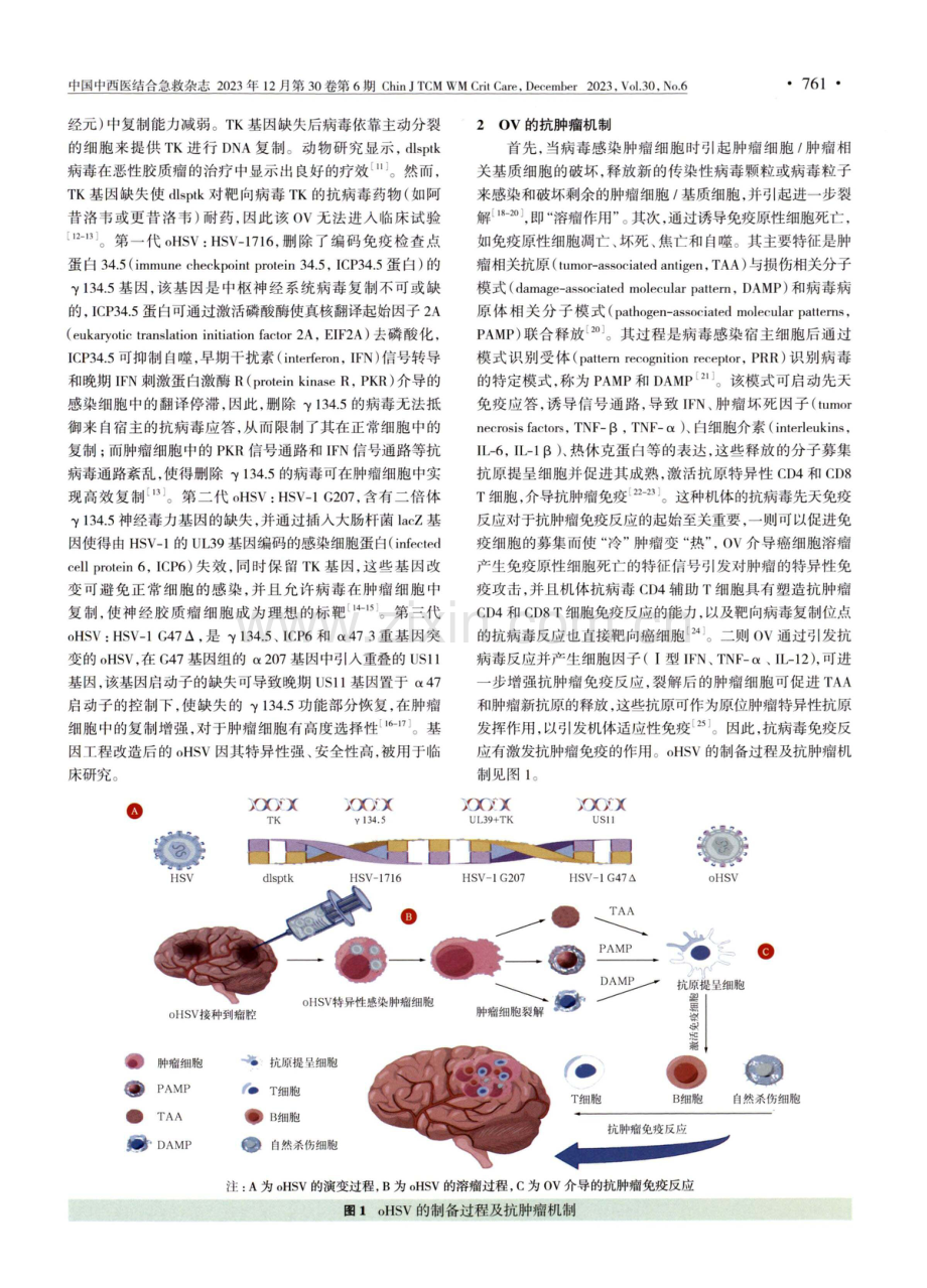 溶瘤疱疹病毒治疗神经胶质瘤的研究进展.pdf_第2页