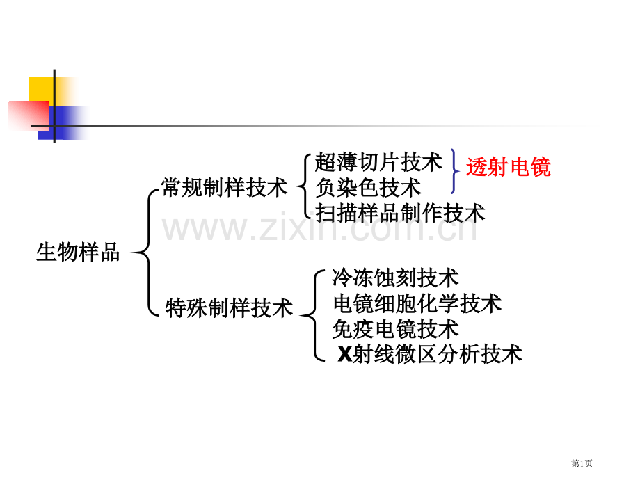 生物样品超薄切片技术省公共课一等奖全国赛课获奖课件.pptx_第1页