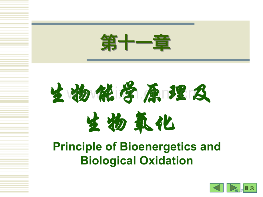 生物能学原理和生物氧化省公共课一等奖全国赛课获奖课件.pptx_第1页