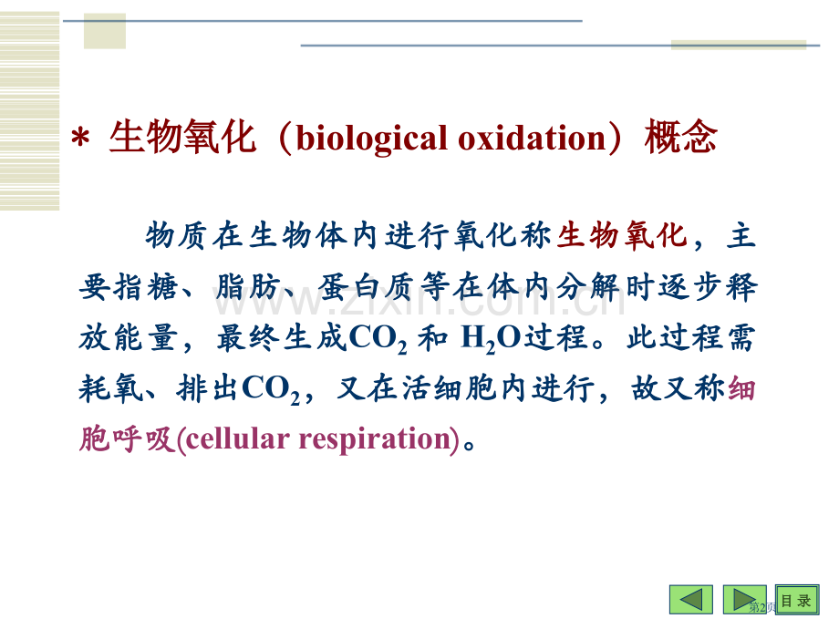 生物能学原理和生物氧化省公共课一等奖全国赛课获奖课件.pptx_第2页