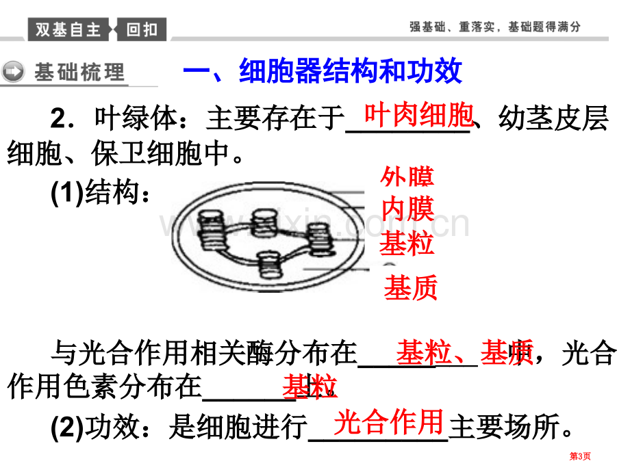 一轮复习细胞器和生物膜系统省公共课一等奖全国赛课获奖课件.pptx_第3页