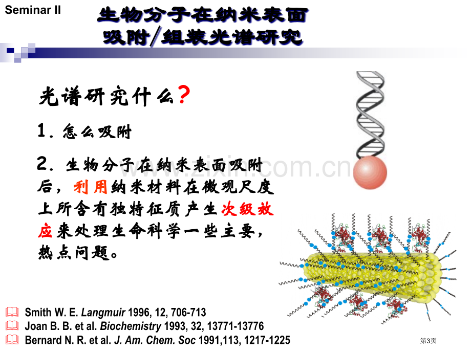 生物分子在纳米表面吸附省公共课一等奖全国赛课获奖课件.pptx_第3页