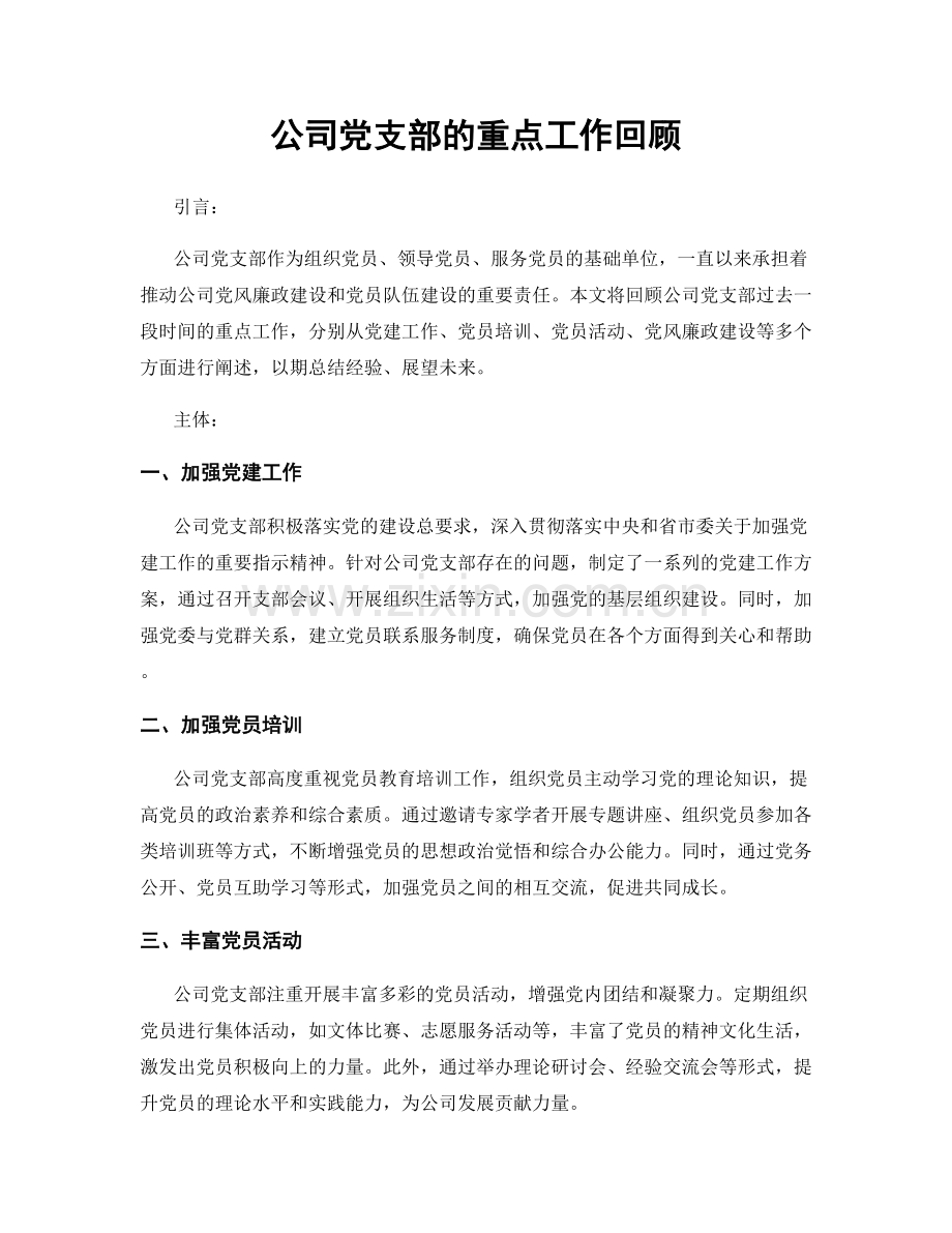 公司党支部的重点工作回顾.docx_第1页