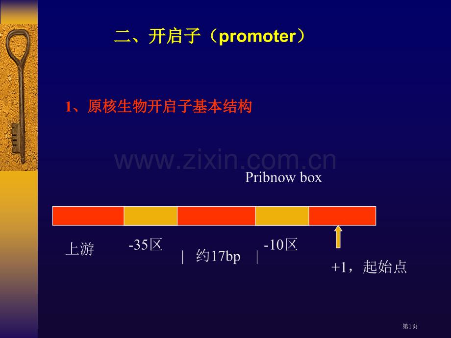 分子生物学讲座省公共课一等奖全国赛课获奖课件.pptx_第1页