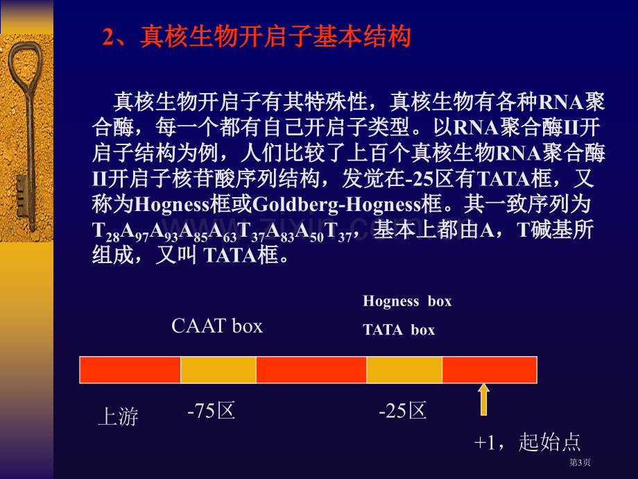 分子生物学讲座省公共课一等奖全国赛课获奖课件.pptx_第3页