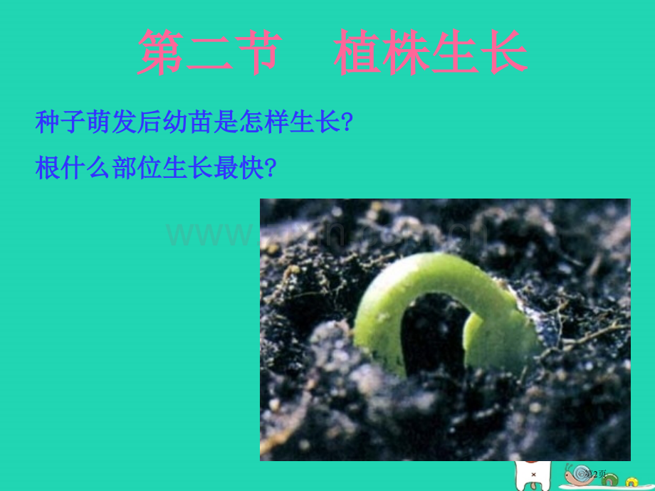 七年级生物上册3.2.2植株的生长人教版市公开课一等奖百校联赛特等奖大赛微课金奖PPT课件.pptx_第2页