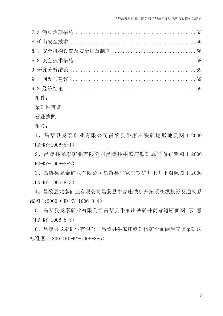 铁矿项目建设可行性研究报告.doc_第3页