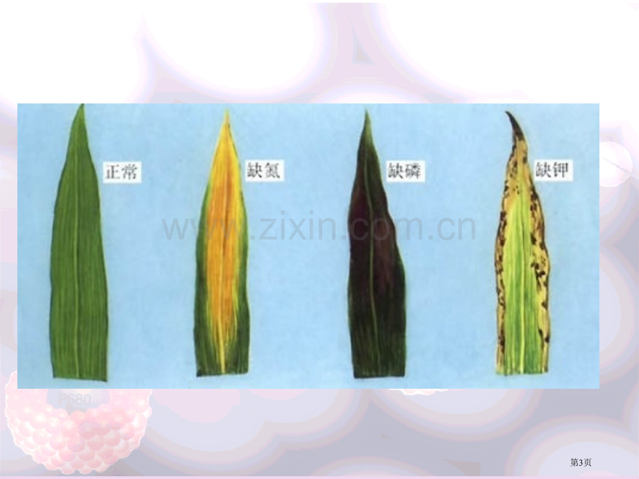 生命的化学组成省公共课一等奖全国赛课获奖课件.pptx_第3页