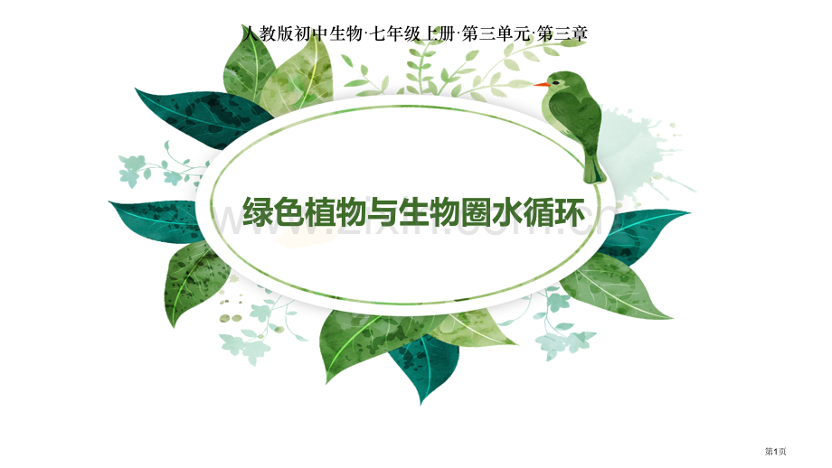 绿色植物与生物圈的水循环省公开课一等奖新名师优质课比赛一等奖课件.pptx_第1页