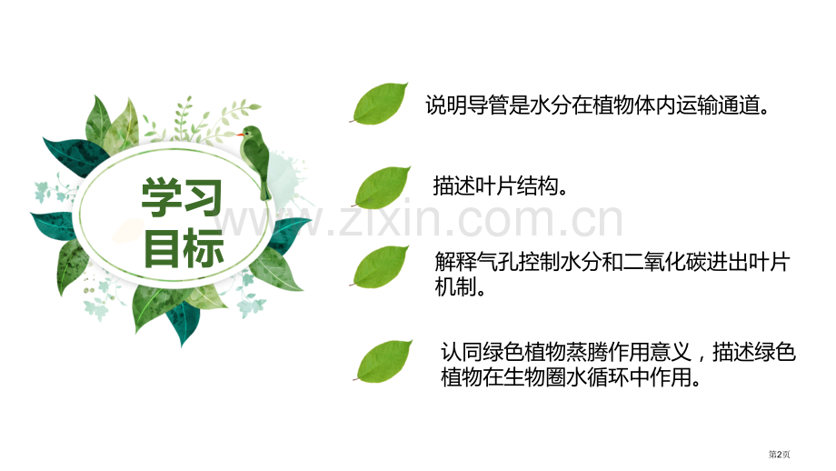 绿色植物与生物圈的水循环省公开课一等奖新名师优质课比赛一等奖课件.pptx_第2页