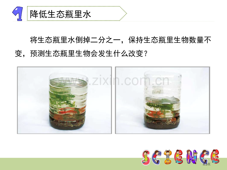 改变生态瓶生物与环境省公开课一等奖新名师优质课比赛一等奖课件.pptx_第3页