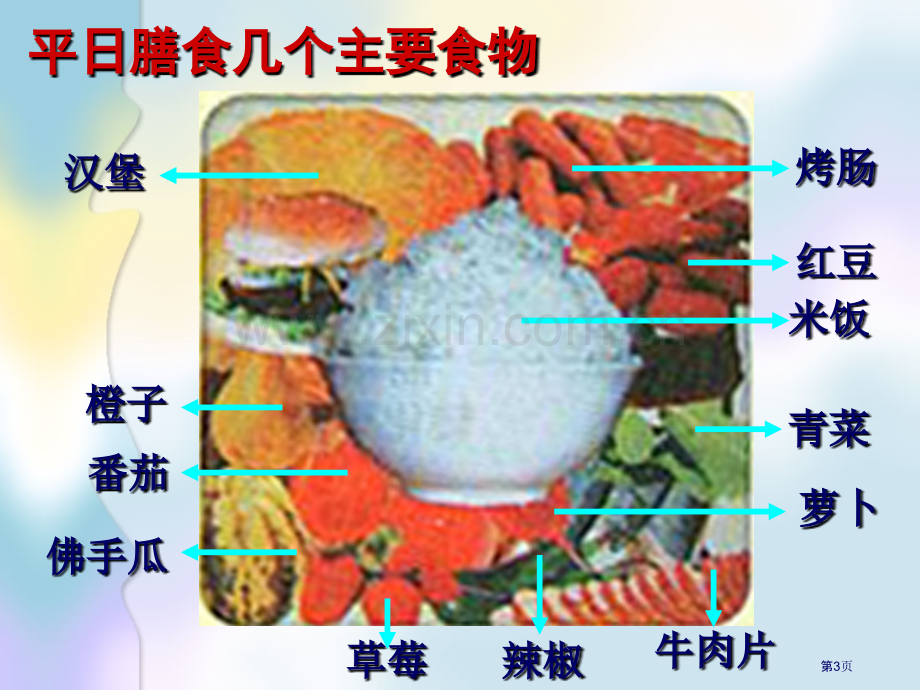 生物专业知识省公共课一等奖全国赛课获奖课件.pptx_第3页