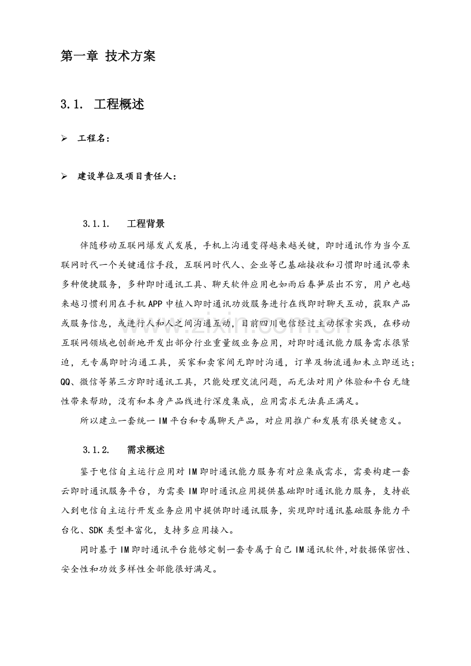 IM即时通信综合项目关键技术专项方案.docx_第1页