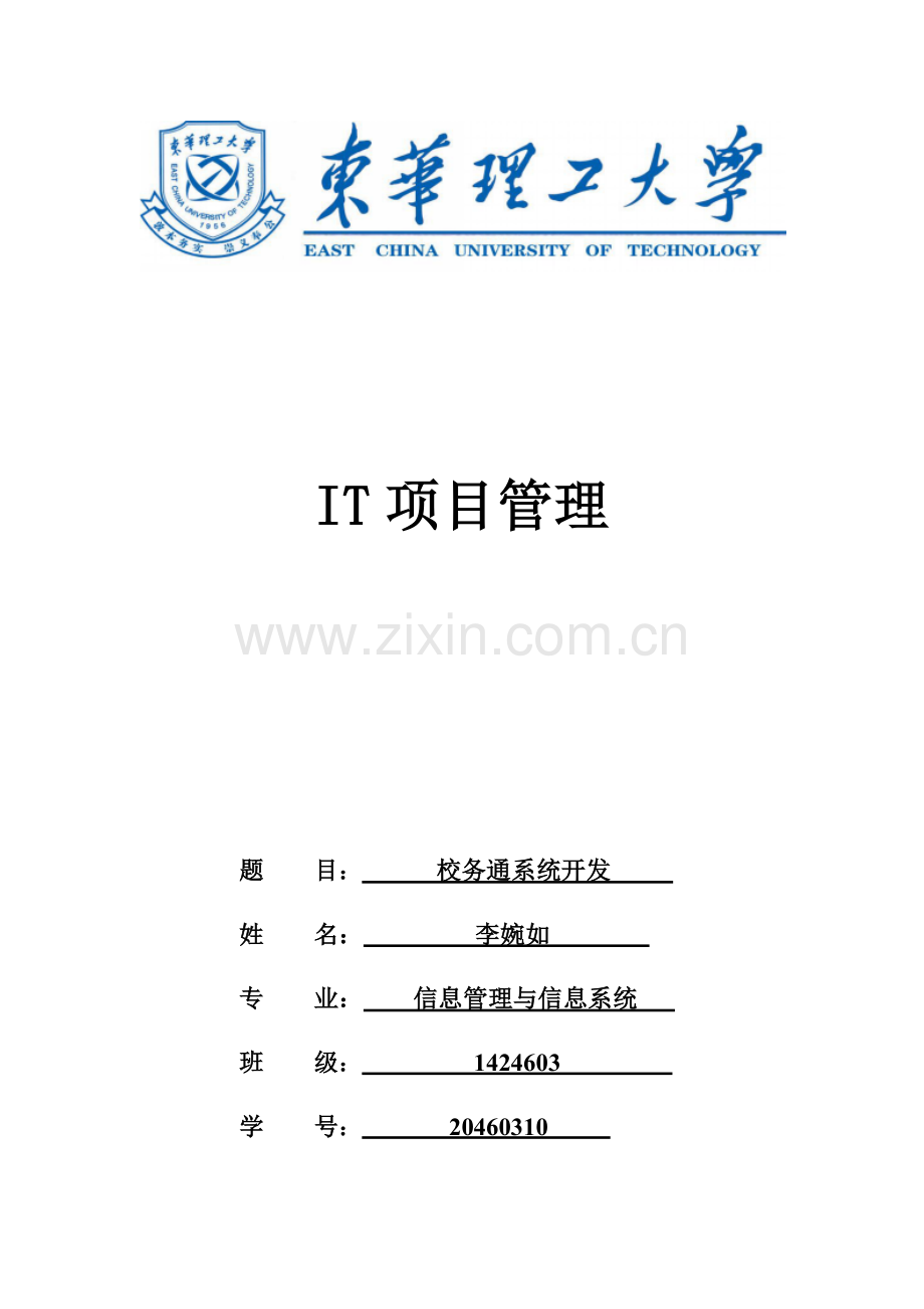 IT综合项目管理专业资料.doc_第1页