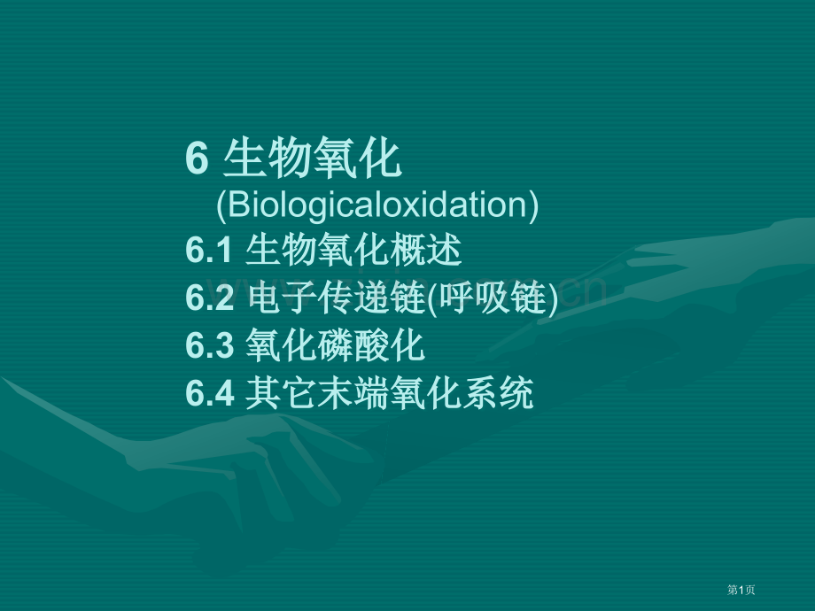 生物氧化课件市公开课一等奖百校联赛特等奖课件.pptx_第1页