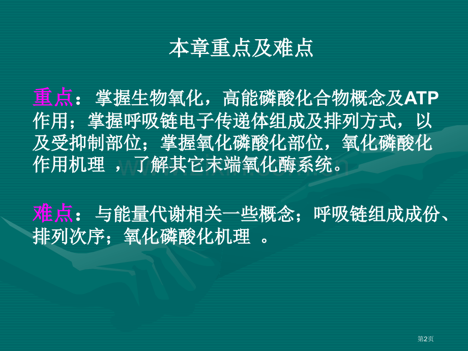 生物氧化课件市公开课一等奖百校联赛特等奖课件.pptx_第2页