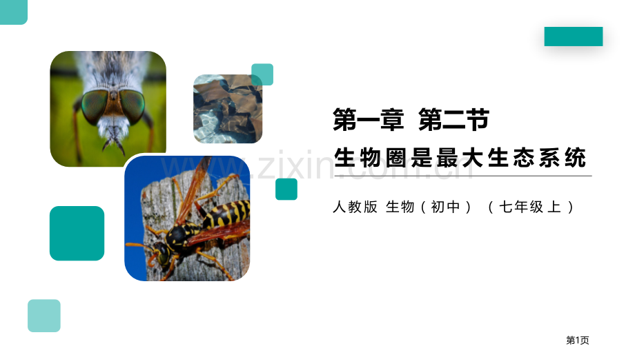 生物圈是最大的生态系统省公开课一等奖新名师优质课比赛一等奖课件.pptx_第1页