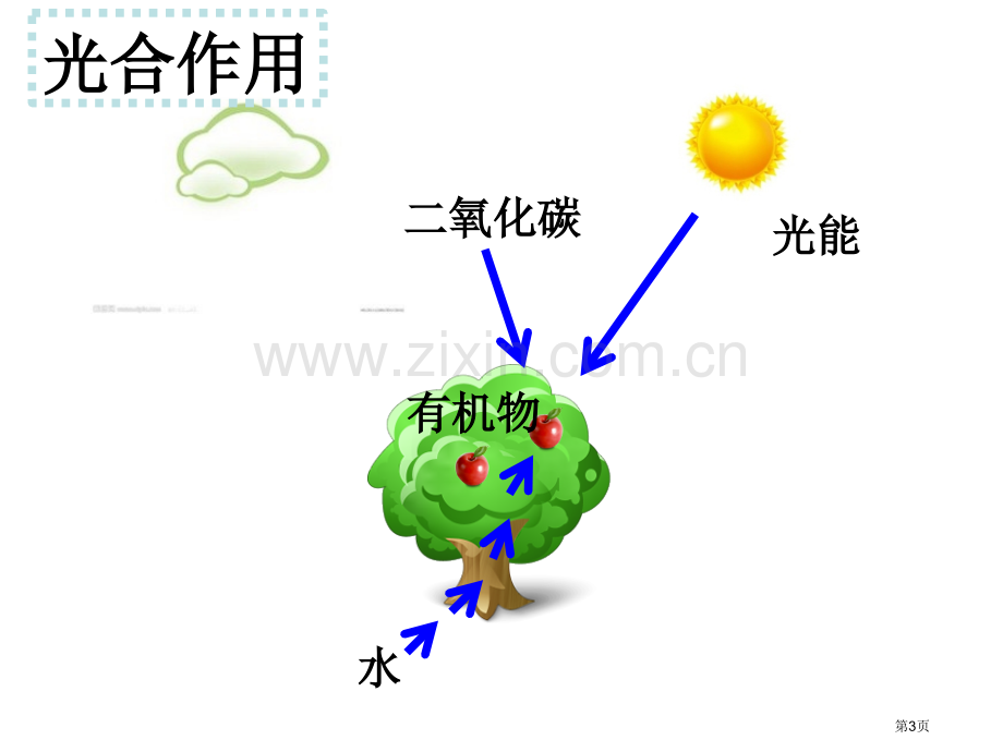 绿色植物在生物圈中的作用课省公共课一等奖全国赛课获奖课件.pptx_第3页