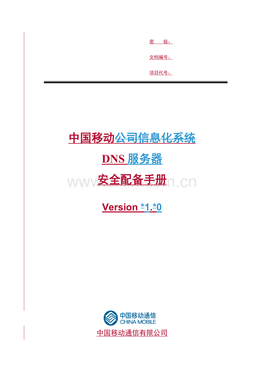 中国移动DNS服务器安全配置标准手册.docx_第1页