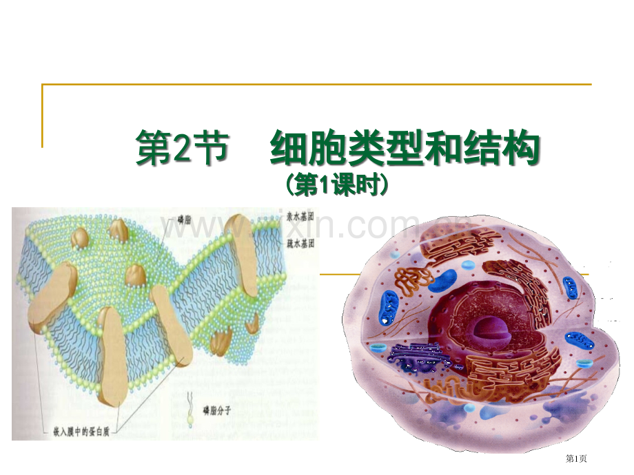 苏教版高三生物一轮复习细胞的类型和结构省公共课一等奖全国赛课获奖课件.pptx_第1页