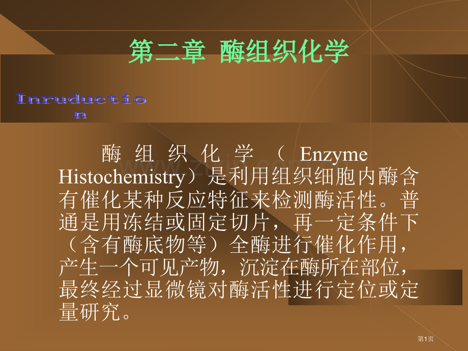 组织化学技术酶组化省公共课一等奖全国赛课获奖课件.pptx_第1页