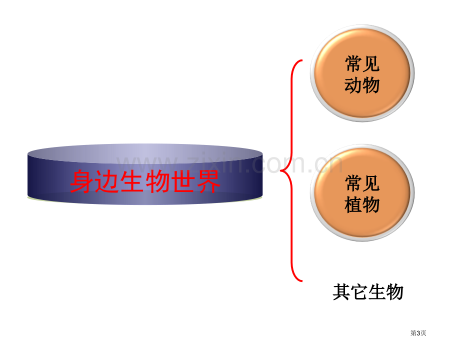 校园生物大搜索.课件省公共课一等奖全国赛课获奖课件.pptx_第3页