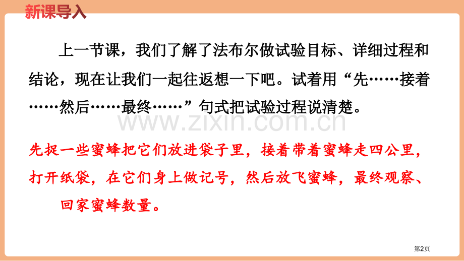 蜜蜂教案省公开课一等奖新名师优质课比赛一等奖课件.pptx_第2页