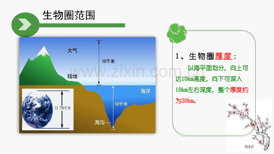 生物与环境组成生态系统优质课件省公开课一等奖新名师优质课比赛一等奖课件.pptx_第3页