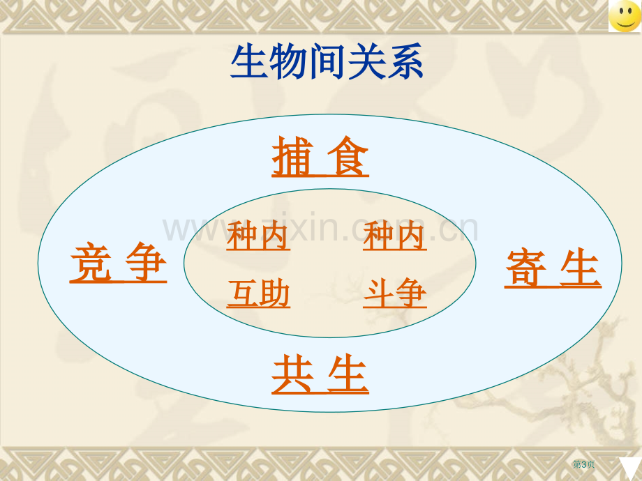 生物因素对生物的影响省公共课一等奖全国赛课获奖课件.pptx_第3页