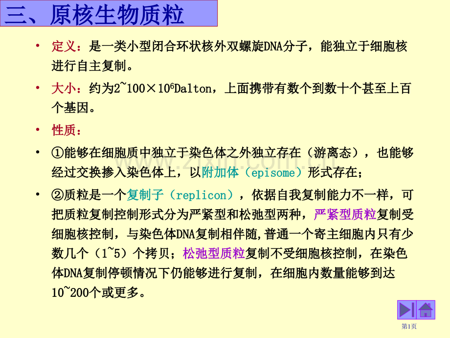 三原核生物的质粒市公开课一等奖百校联赛特等奖课件.pptx_第1页