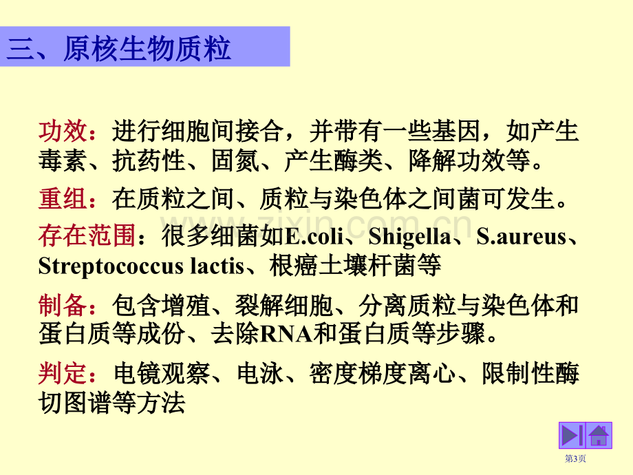 三原核生物的质粒市公开课一等奖百校联赛特等奖课件.pptx_第3页